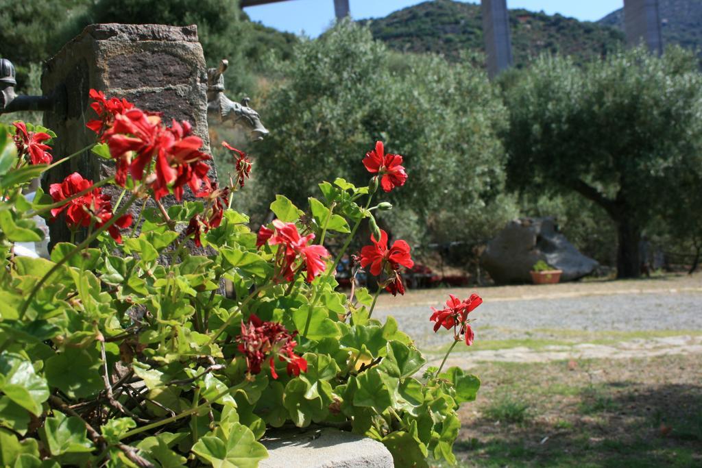 Sumindulau Bed and Breakfast Torre delle Stelle Εξωτερικό φωτογραφία