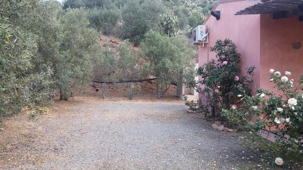 Sumindulau Bed and Breakfast Torre delle Stelle Εξωτερικό φωτογραφία